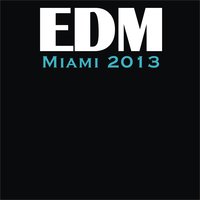 Edm Miami 2013