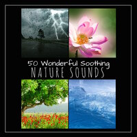50 Wonderful Soothing Nature Sounds - Relaxing Ocean Waves, Gentle Rain and Thunderstorm, Birds and Crickets and Healing Water Springs
