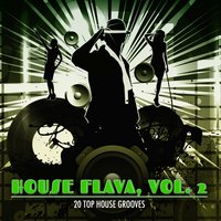House Flava, Vol. 2