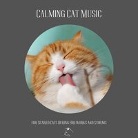 Secret Life of Pets - Music for Cats Project & Music For Cats Peace & Relax Your Cat