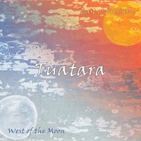 A Spark in the Wind - Tuatara