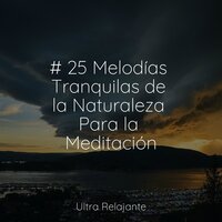 Camino De La Cola De Algodón - Musica para Meditar Especialistas & Massagem & Música Para Dormir Inspirada En El Espacio