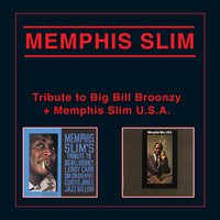 Late Afternoon Blues - Memphis Slim