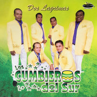 El Gato y el Zorrillo - Los Cumbieros del Sur