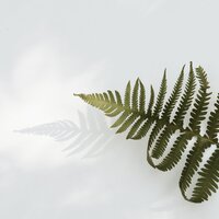Lifelong Chillout Sounds | Meditation
