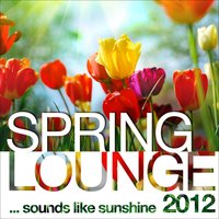Down the Line - Magic Life & Rainfary