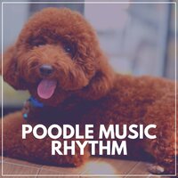 Poodle Music Rhythm