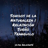 Descanso Consciente - Música para Massagem Especialistas & Musica Para Meditar & Musica Para Meditación Profunda
