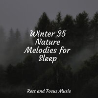Winter 35 Nature Melodies for Sleep