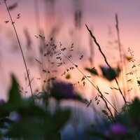 60 Meditación de Relajación en el Spa