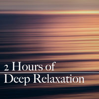 Calming Sleep Music - Sleep Sounds Of Nature