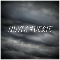 Lluvia Fuerte Para Dormir, Pt. 31 - Sonido Del Bosque y Naturaleza & Chillout Lounge & Estudio de sonidos de lluvia