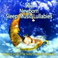 Sleep Well (Circkets, Dog in the Night) - Sleep Lullabies for Newborn