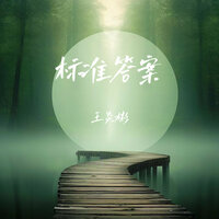 标准答案 - 王炎彬