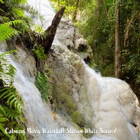 Calming Mossy Waterfall Stream White Noise, Pt. 6 - Steve Brassel