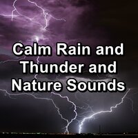 Rain Sounds and Thunder for Brain Relaxation and Mindfulness Calm Instrumental Sounds - Spa & Spa Music & Spa Relax Music