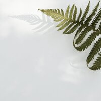 Arctic Bloom - Sleep Sounds Of Nature & Entspannungsmusik & Meditacionessa