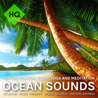 Reflective Ambient Nature Sounds - Relaxing Music Therapy & Ocean Sounds & Nature Sounds