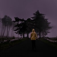 haunting beauty - nøave