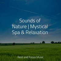 Infinite Horizons - Zen Music Garden & Meditacao Clube & Especialistas de Musica para Dormir