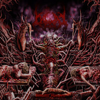 Neisseria Gonorrhoeae - Bigot