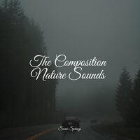 The Composition Nature Sounds