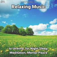 Relaxing Music, Pt. 65 - Deep Sleep & Relaxing music & Yoga
