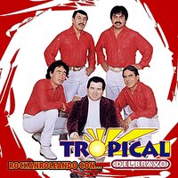 Cangrejito Playero - Tropical del Bravo