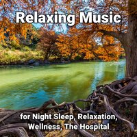 Study Music - Relaxing music & Yoga & Sleep Music