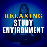 Relaxing Study Environment