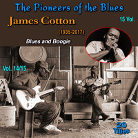 Rock Me - James Cotton
