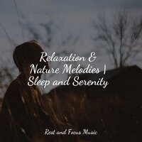 Flight - Nature Sounds Nature Music & Meditation & Stress Relief Therapy & Life Sounds Nature