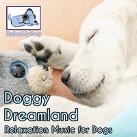 Asleep by the Fire - RelaxMyDog
