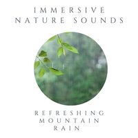 Refreshing Mountain Rain - Immersive Nature Sounds & Joshua Runion