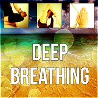 Healing Meditation - Buddhist Meditation Music Set