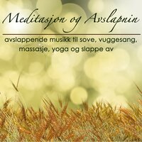 Spa Essentials (Massage Music) - Meditasjon