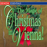 The Magic of Christmas in Vienna