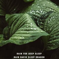 Heavy Downpouring Rain - Rain David Sleep Dragon