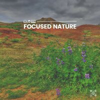 Focused Nature