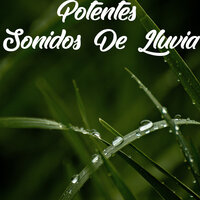 Noche Taciturna - Relajantes sonidos de lluvia, Sonidos de lluvia para dormir, Sonidos de la naturaleza para dormir & Sonidos de lluvia para dormir & Relajantes sonidos de lluvia & Sonidos de la Naturaleza para Dormir