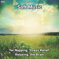 Soft Music, Pt. 65 - Deep Sleep & Relaxing music & Yoga