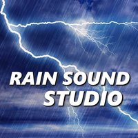 Windy Rain & Thunderstorm Sounds - Rain Sound Studio