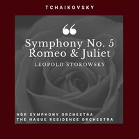 Symphony No. 5 In E Minor : IV. Andante Maestoso - Allegro Vivace - Leopold Stokowsky & The Hague Residence Orchestra & NDR Symphony Orchestra & Пётр Ильич Чайковский