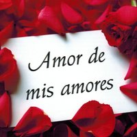 Amor de Mis Amores, Vol. 1