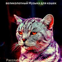 Мечты (Кошки) - великолепный Музыка для кошек