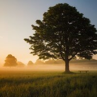 A Calm Mind - Deep Sleep & Relaxing music & Musica para Dormir Dream House
