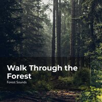 Lush Tropical Forest - Ambient Forest & Forest Sounds & Rainforest Sounds