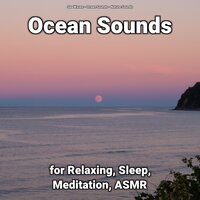 Nice Minute - Nature Sounds & Ocean Sounds & Sea Waves