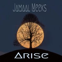 Revenant - Jamaal Meeks