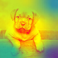 Happening Ambience for Calming Puppies - Doggy Music Vintage